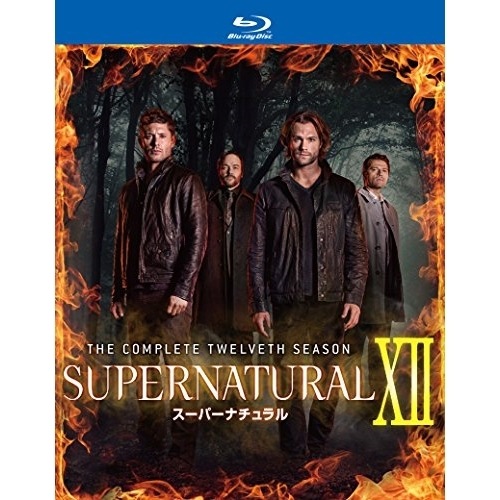 SUPERNATURALXIIコンプリート・ボックス(B.. ／ ジャレッド・パダレッキ (Blu-ray) 10006-52849