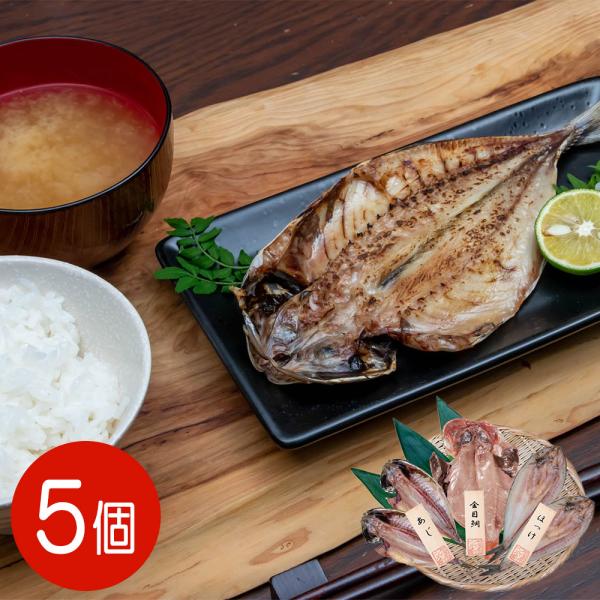 五島灘の塩 干物詰合せ 5尾セット / 国産 冷凍