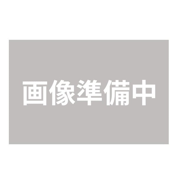 ALADDIN アラジン AEH-G106N-W ホワイト 遠赤 グラファイトヒーター 2灯管 1000W