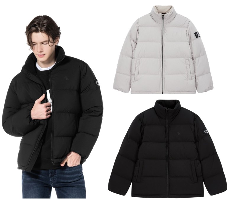 Regular Fit Short Down Jacket (J323229)