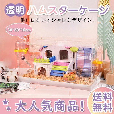 三晃商会　ルックルック　ハムスター　バイオレット　関東当日便 | charm 楽天市場店