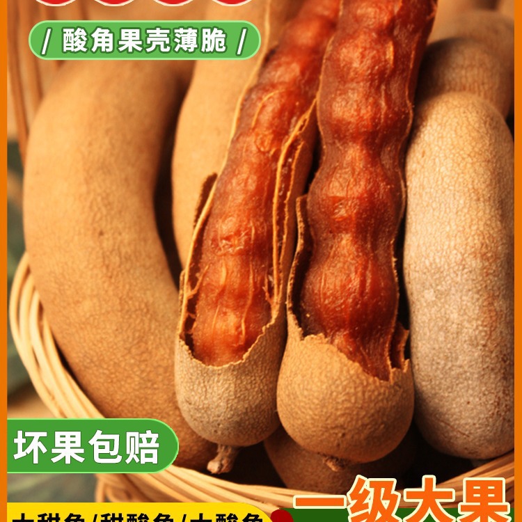 Sohoku Yunnan Specialtyフレッシュワイルドビッグスイートホーン妊婦スナックスイートサワービーンズサワービーンズデートケーキタマリンド 2222222 4,584円