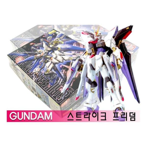 MG 100sc ZGMF X20A フリーダムガンダム