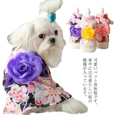 犬服 ドッグウェア 犬 晴れ着 着物 袴 和装 浴衣 ペ...のサムネイル