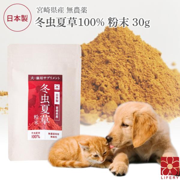ペット免疫サプリ 犬 猫 ペット 免疫 サプリメント 冬虫夏草 コルジセピン 粉末 健康食品 30g