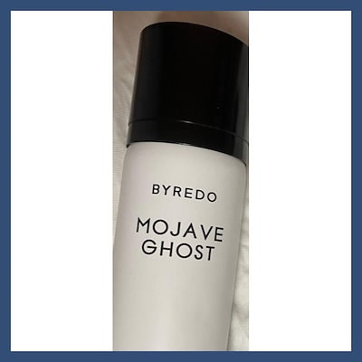 茶道具 漆塗 玉池老人 花草漢詩文 平茶器 棗 共箱 V 5590 【公式通販】