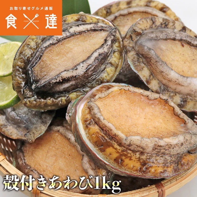 あわび 1kg 12粒入 アワビ 鮑 えぞあわび 貝 冷凍 蝦夷 お刺身 ステーキ 殻付き 指定日不可 5,442円