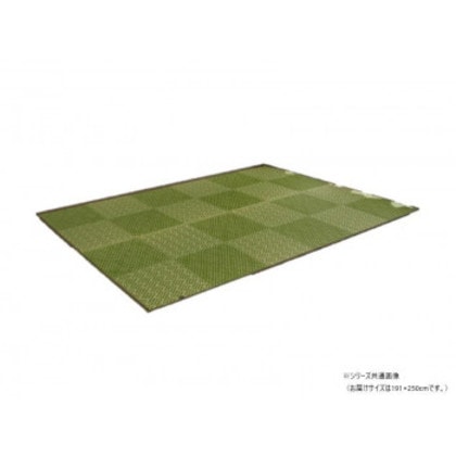 ラグ 純国産 日本製 KOBA-GUARD 抗菌防臭 約191×250cm グリーン 1051530123904