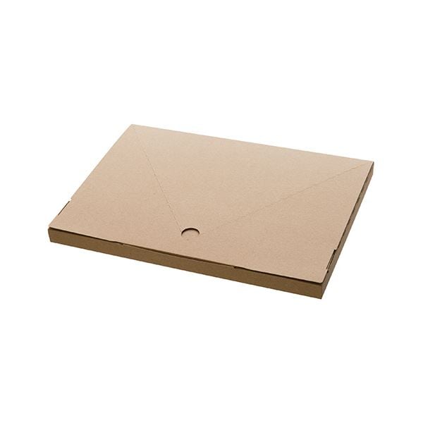 (まとめ) ヘッズ 無地コンパクト宅配ボックスW320×D20×H225mm M-TBX1 1パック（20枚） (×10セット)