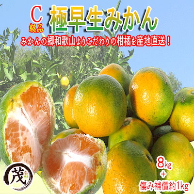 【1,782円～】訳あり 極早生みかん 8kg + 傷み補償約1kg