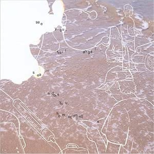 LP(30cm) / Homecomings / see you, frail angel. sea adore you.