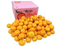 和歌山産 =有田みかん= 訳あり S-Mサイズ 約10kg 産地箱 ありだみかん 予約 11月末以降