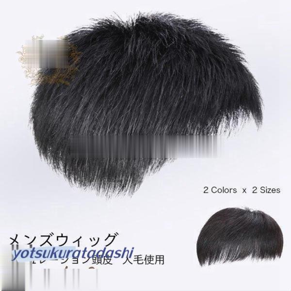 春の新作かつら メンズ ウィッグ 自然 セルフ増毛 人毛 部分ウィッグ 男性 薄毛対策 カツラ ショート エクステ