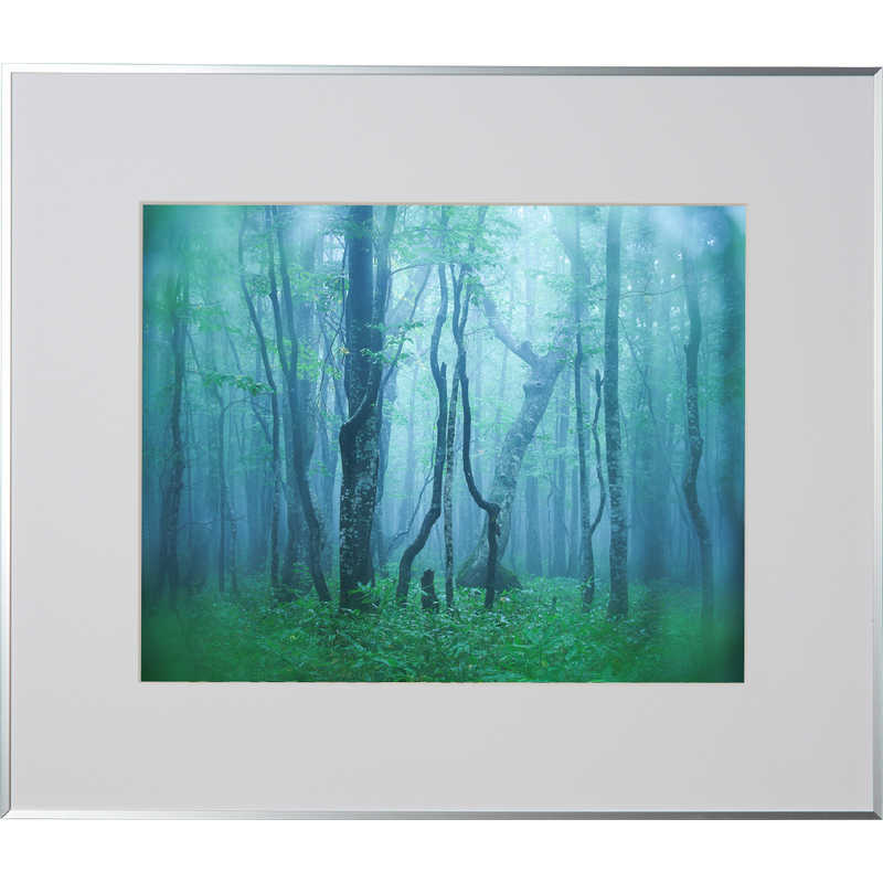 ケンコー　ギャラリー 半切 シルバー　AGY-H-SV