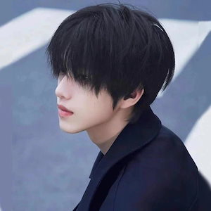 Qoo10] ピンクエイジ 手植えフルウィッグ) マルス ストレート