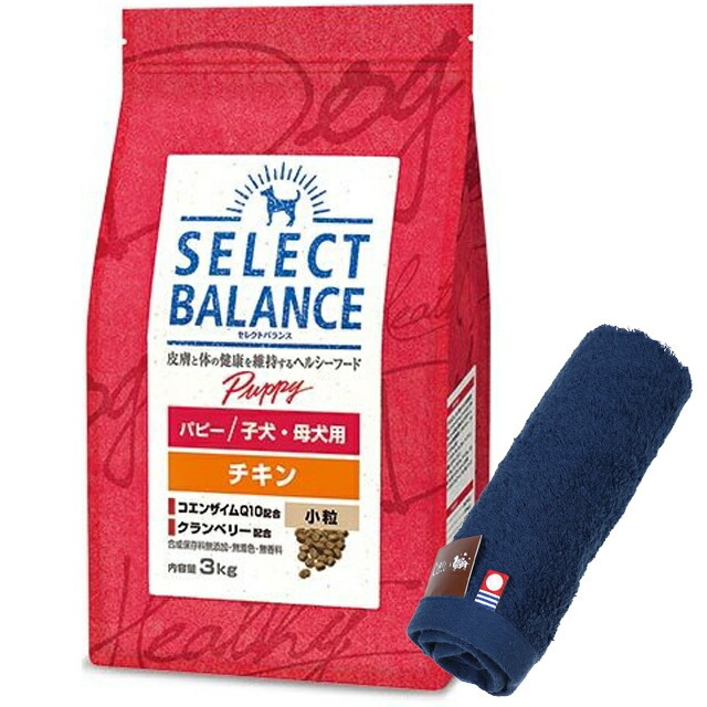 セレクトバランス パピー チキン 小粒 子犬母犬用 3kg【犬想いオリジナル今治ハンドタオルセット】【タオルカラー ネイビー】