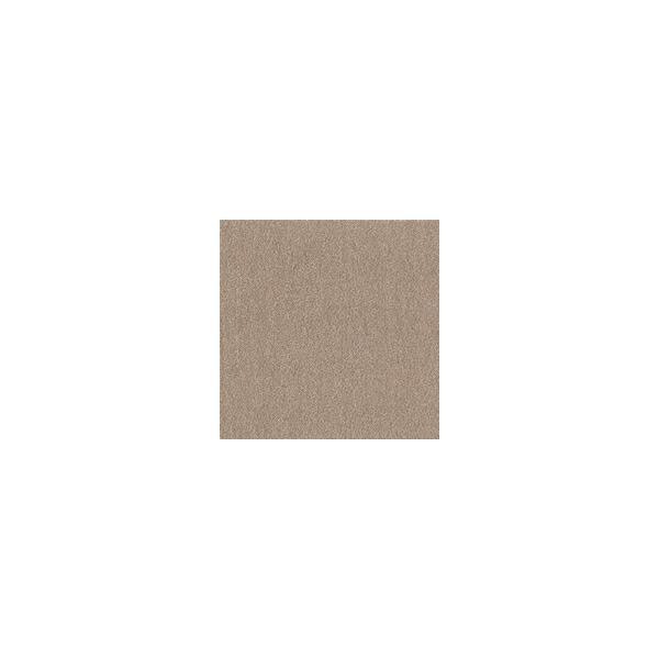 【1ケース】【お取り寄せ対象品】ウィズペットフロア WPF03(40×40cm) モカ[東リ] *10個