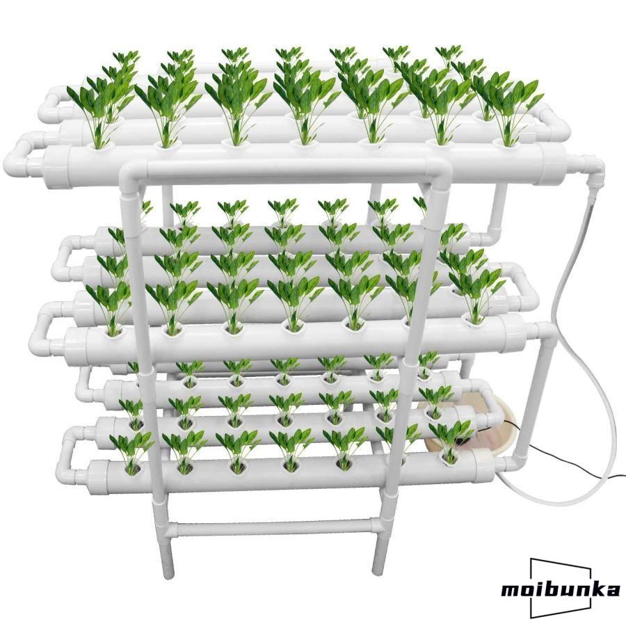 [新年割引]水耕栽培キット 水耕栽培 植物 野菜用具 植物育成 家庭菜園 室内 ベランダ 水耕栽培セット (108穴)