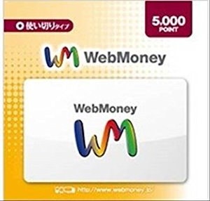 [Qoo10] コード専用WebMoney ウェブマネー