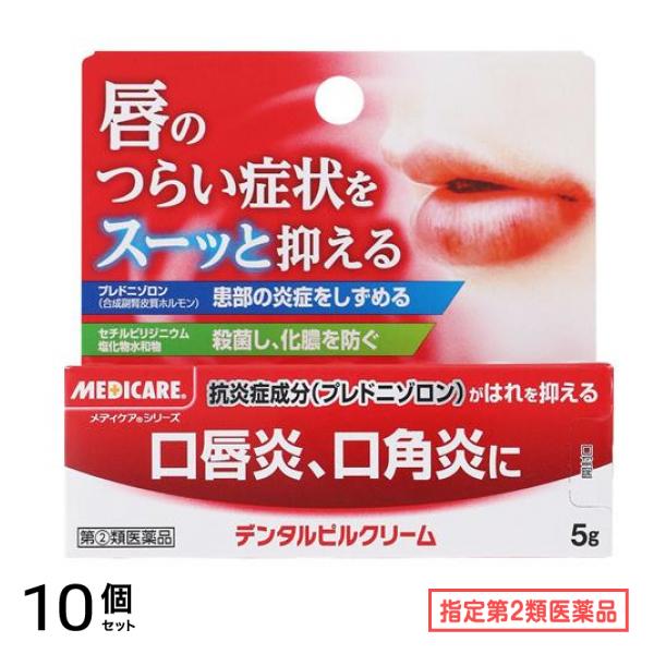 指定第２類医薬品 デンタルピルクリーム 5g 10個セット