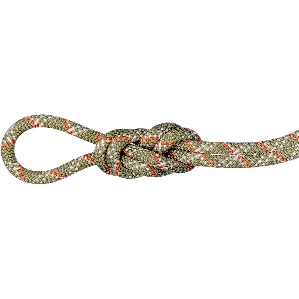 MAMMUT マムート 9.5 Gym Classic Rope 50m アウトドア クライミング用品 201005830-40303