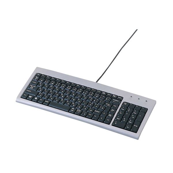 (まとめ)サンワサプライ スリムキーボード SKB-SL02U(×2セット)