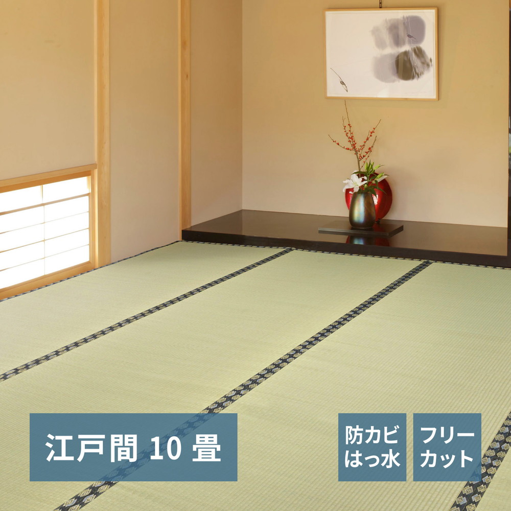 フリーカット裏付き い草カーペット [みすず] 江戸間 10帖（352x440cm） グリーン