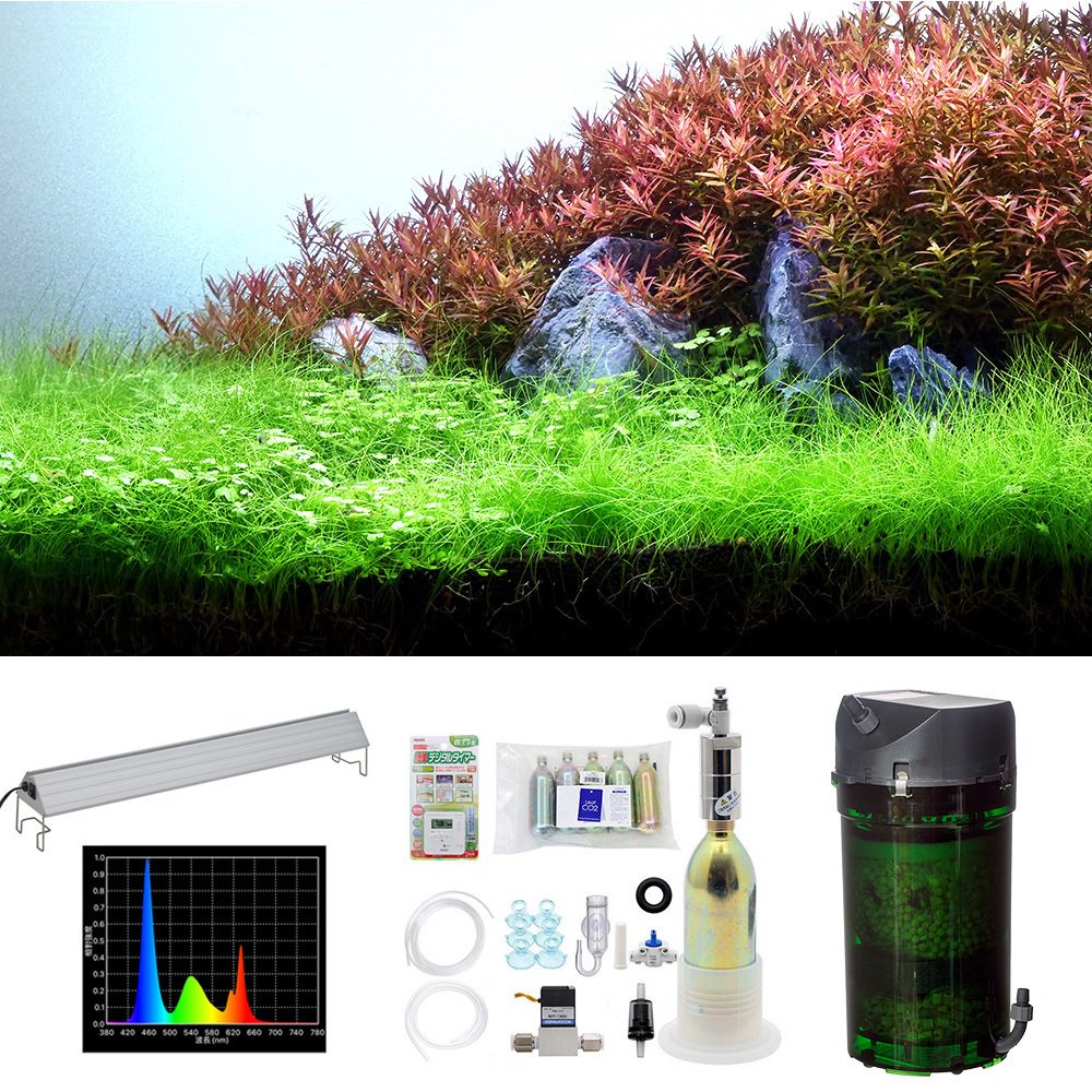 （水草）６０ｃｍ水槽用　水草レイアウト用品込みフルセット　お一人様１点限り　ＣＲＣ12―23―40―00―00