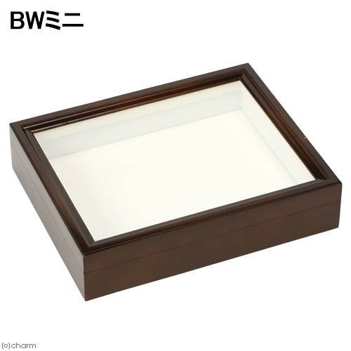 バードウィング製　ドイツ型標本箱　ＢＷミニ　（幅２５X奥行き２０X高さ５．５ｃｍ）　昆虫　蝶　甲虫　標本ケース　ＣＲＣ18―82―30―00―00