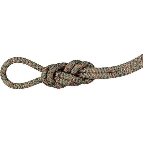 MAMMUT マムート 9.9 Gym Workhorse Classic Rope 40m アウトドア クライミング用品 201005770-4017 15,016円