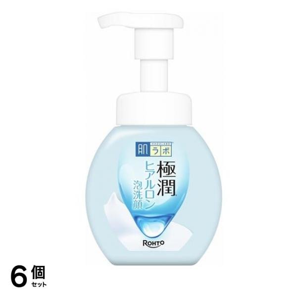 極潤 ヒアルロン泡洗顔 ポンプ本体 160mL 6個セット