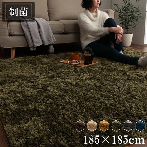 ラグ カーペット 2畳 冬 シャギー 抗菌 無地 長方形 洗える 滑り止め 冬用 シャギーラグ 絨毯 洗濯 おしゃれ ホットカーペット ラグマット 185185