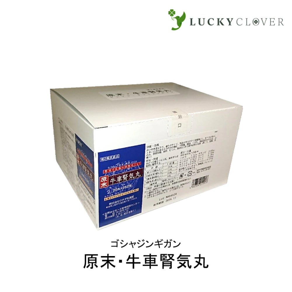 【第2類医薬品】原末牛車腎気丸 5040丸 20丸252包 約84日分 丸剤 ウチダ和漢薬 ゴシャジンギガン 下肢痛 腰痛 しびれ 高齢者のカスミメ カユミ 排尿困難 頻尿 むくみ 高血圧 伴う