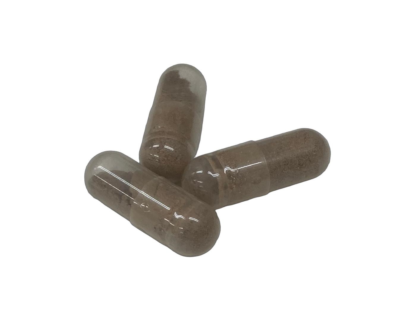 【衝撃の体内浄化】古代インド秘伝 シラジット 90粒 腸活 ダイエット 毒素排出