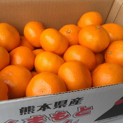 極早生みかん　秀品　１箱5kg　サイズLMS　熊本産　...のサムネイル