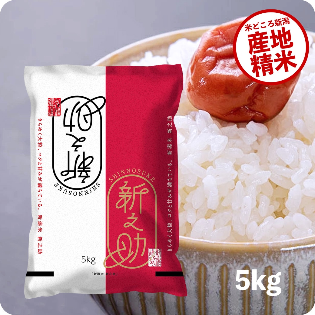 米 5kg 新之助 令和6年産 お米 白米 5キロ 5,355円