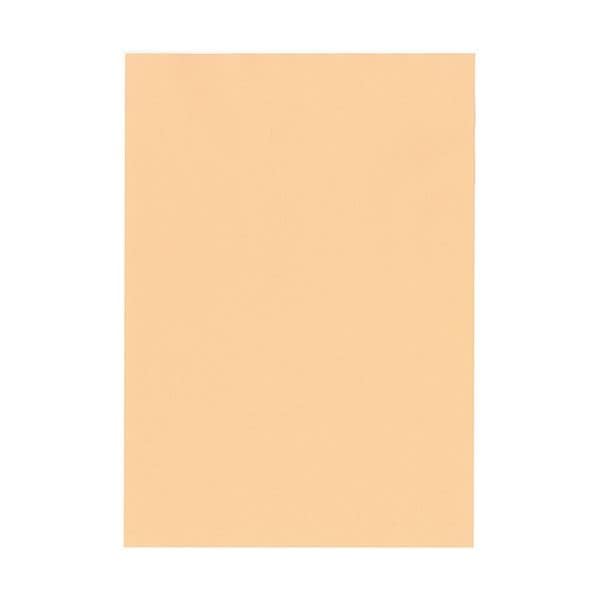 北越コーポレーション 紀州の色上質 A3 T目 超厚口 びわ 1箱（400枚：100枚x4冊）