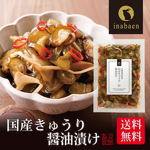 漬物 国産きゅうり醤油漬け 100g メール便 漬け物 国産 お漬物 ご飯のおとも【SIN】
