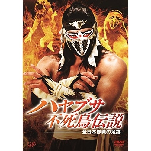 ハヤブサ ／ ハヤブサ不死鳥伝説 全日本参戦の足跡 (DVD) VPBH-14520