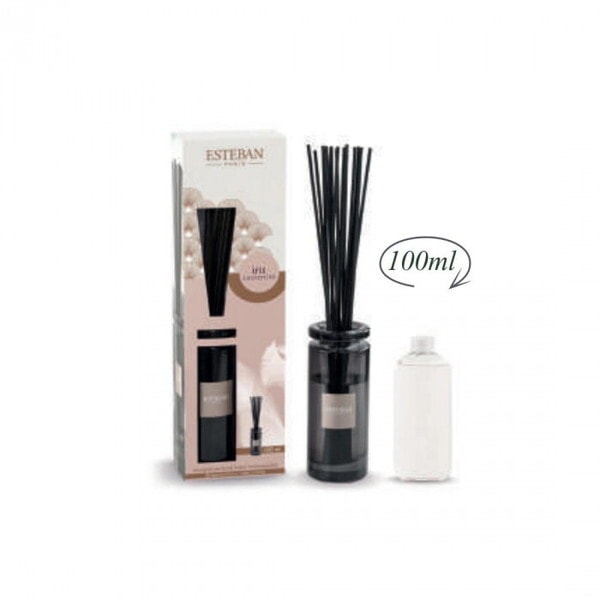 ESTEBAN(エステバン) イリスカシミア イニシャルラタンブーケディフューザー100ml 52473