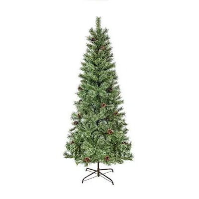 ヨーロッパトウヒ クリスマスツリー 180am ヨーロッパトウヒ