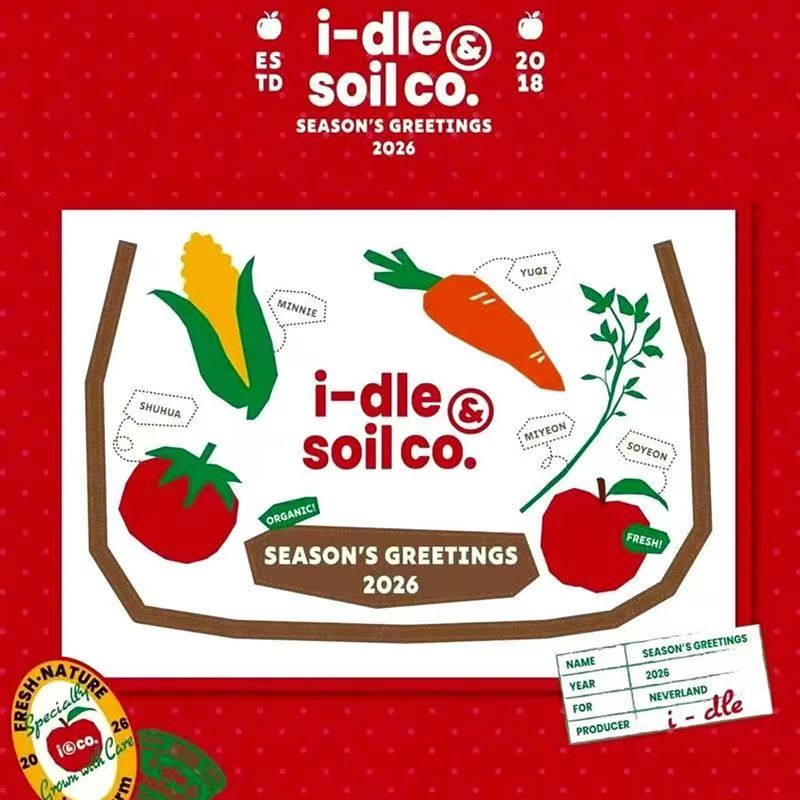 (G) I-DLE / アイドゥル 2026 カレンダー 正規品 公式グッズ 未開封新品 メンバーフォト入り フォトカード付 KPOP 韓流 コレクショングッズ イラストカレンダー