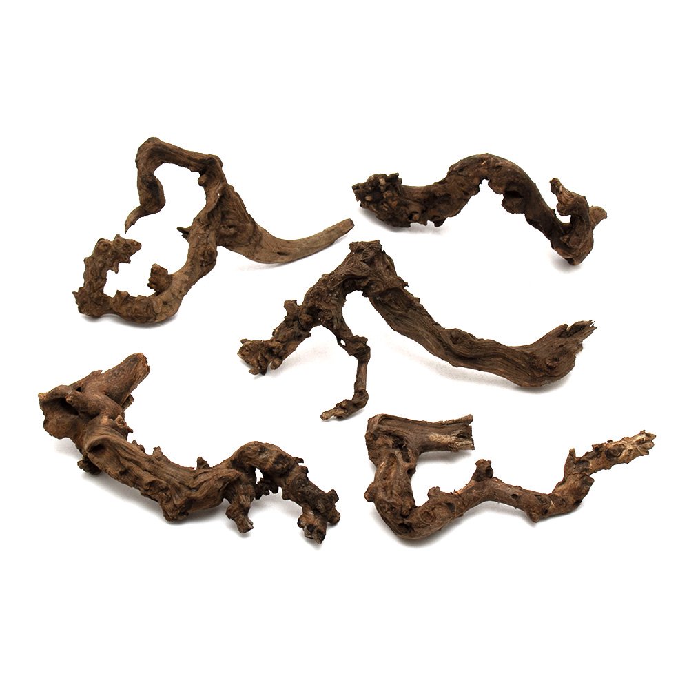 形状お任せ　煮込み済み　サンゴウッド　Ｍサイズ（約２５ー３５ｃｍ）　５本　アクアリウム　レイアウト素材　流木　ＣＲＣ21―10―20―20―00