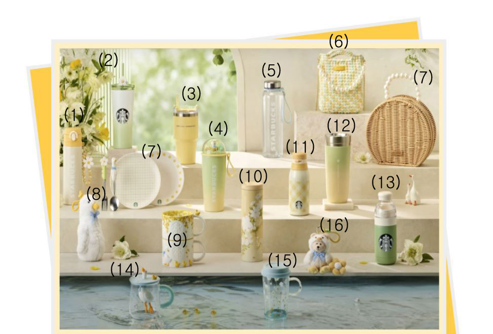 スターバックスコリア2024 スプリング春MD限定版コレクションコレクション タンブラー/マグ 2024 Starbucks 春 Spirng MD collection +追跡番号