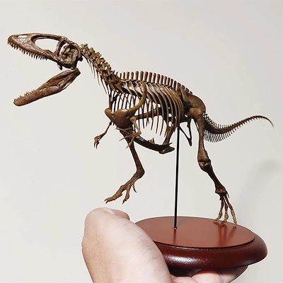 ララピールの新体制☆サロン専売品プラピールお得に6回分9,900円