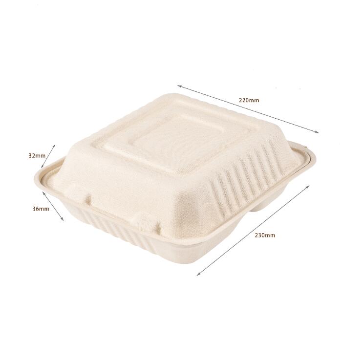 バガス容器/紙製テイクアウトボックス/エコ弁当箱/使い捨て食品容器/環境対応/バイオマスパック/B028