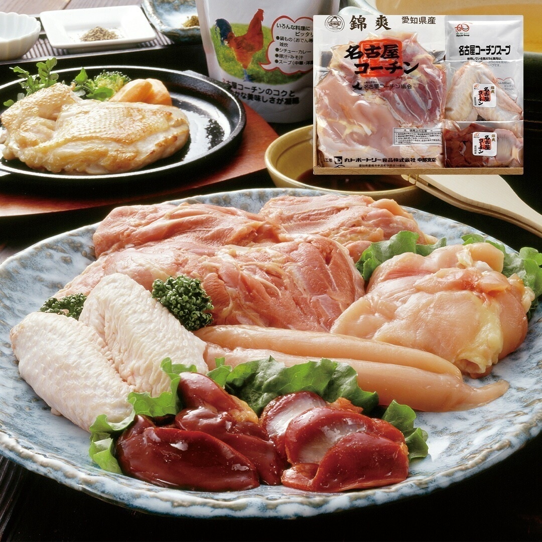 愛知 名古屋コーチン 1羽セット むね肉2枚 もも肉2枚 ささみ2枚 手羽さき2本 肝砂肝各1個 名古屋コーチンスープ200g 【産直メーカー直送品】