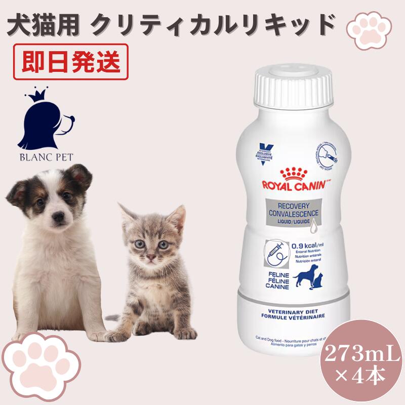 ロイヤルカナン 猫 FHN ベビーキャット ミルク 300g