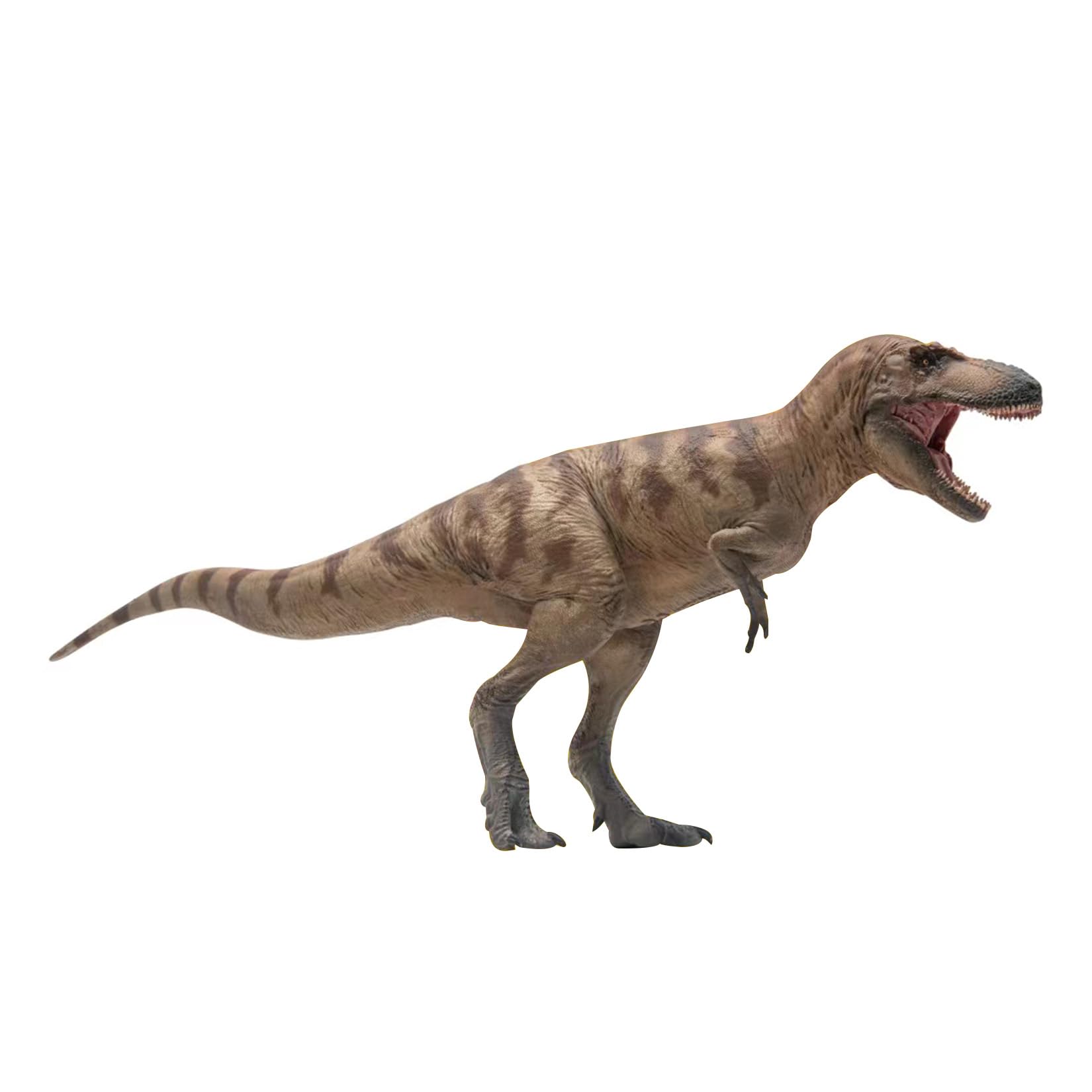 PNSO 成長シリーズ 73 ダスプレトサウルス フィギュア 恐ろしいトカゲ ティラノサウルス科 白亜紀 26cm級 口開閉可能 肉食恐竜 リアル PVC おもちゃ 科学 芸術 模型 プレゼント