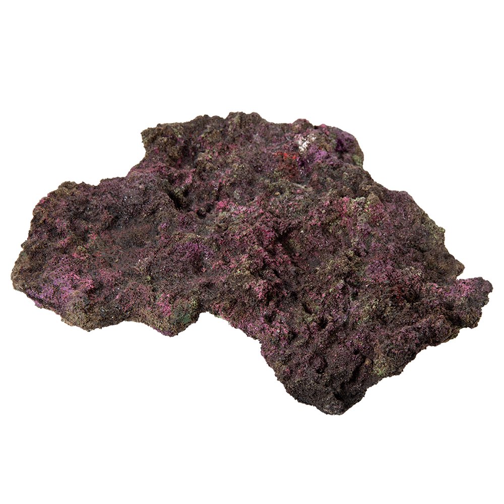 ＯＲＣＡ　ＯＣＥＡＮ　ＲＯＣＫ　３３　３２X２９X６ｃｍ　ライブロックレプリカ　ＣＲＣ10―35―90―30―00